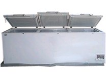 Tủ đông lạnh Westpoin WBQ-811