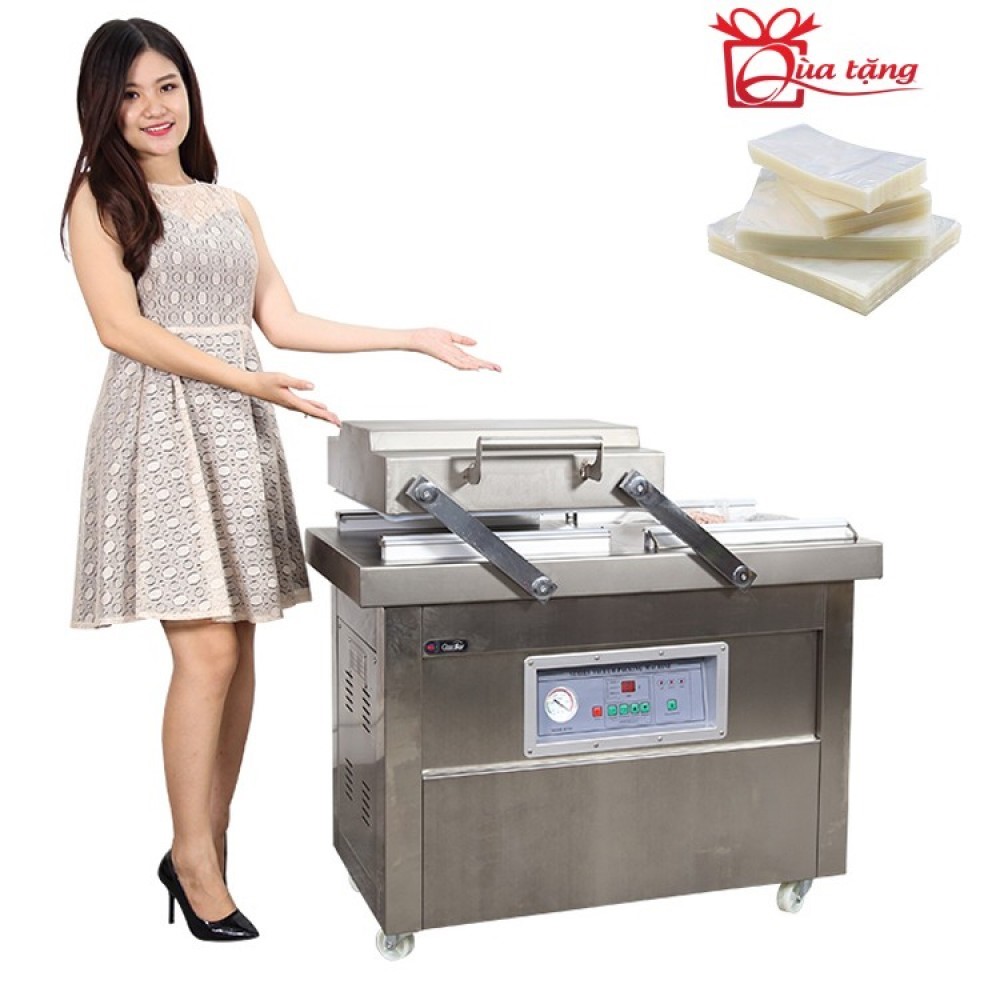 Máy hút chân không công nghiệp GoodFor DZQ500X2