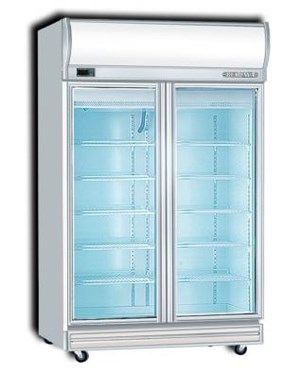 Tủ đông 2 cánh kiếng Display freezer 2D/DF-S-EV