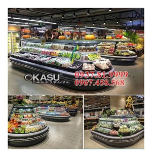 Tủ mát trưng bày siêu thị OKASU OKS-SG15HD