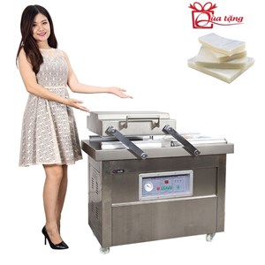 Máy hút chân không công nghiệp GoodFor DZQ500X2