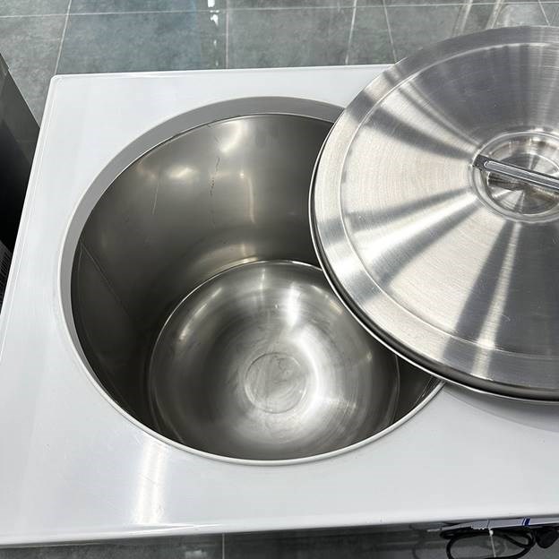 tu giu lanh soup 1 hoc starion sr-l31eiy (48 lit) hinh 0